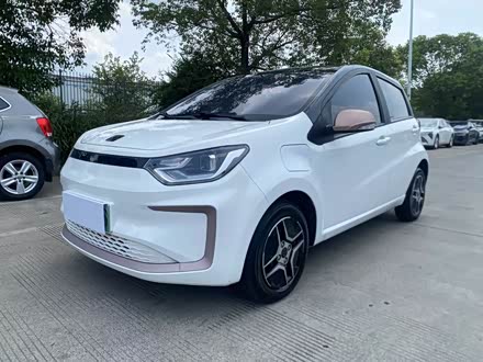  2021 302km ʱ 30.2kWh