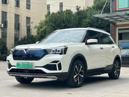 ȫT60EV 2020 AI콢