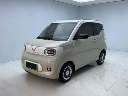 ȫ MINIEV 2024  170km