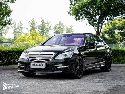 SAMG 2010 AMG S 65