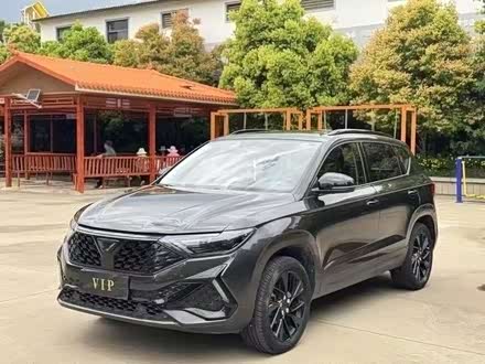 ݴVS5 2023 280TSI Զȡ