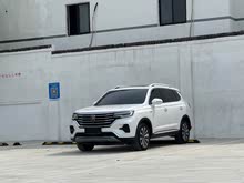 sRX5 MAX 2019 300TGI ԄœA