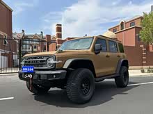 ̹300 2021 ԽҰ 2.0T 