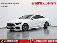 YCLS 2021 CLS 300 Ӹ