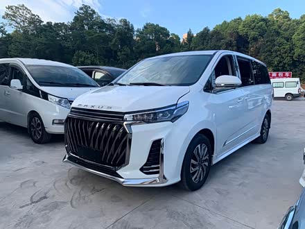 ȫִͨG20 2023 PLUS 2.0T Զ