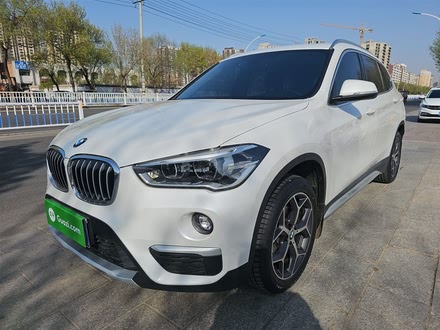 X1 2019 sDrive18Li 