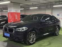 RX4 2019 xDrive25i M\b