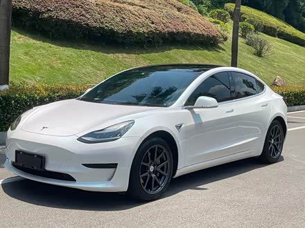 Model 3 2020 ׼