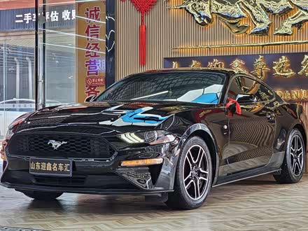 ϶ָ Mustang 2019 2.3L EcoBoost ҹʿ˶