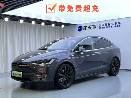 Model X 2016 Model X P100D Performanceܰ