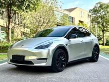 Model Y 2021 (bio)(zhn)m(x)(q)