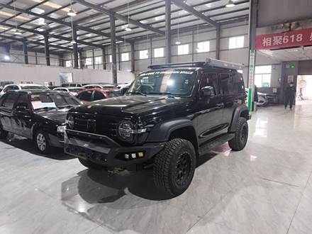 ̹300 2021 ԽҰ 2.0T 