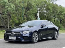 YCLS 2021 CLS 300 (dng)