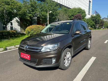 ݶִ ; 2015 1.8TSI Զʰ