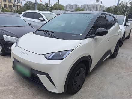 Ÿ 2025 305km 