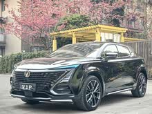 L(zhng)UNI-T 2023 ڶ 1.5T Ş