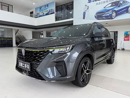 RX5 2021 PLUS 330TGI Զ