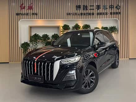 ��ɽ���ֺ��� ����HS5 2023�� 2.0T ����Pro��