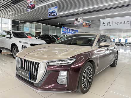 �������ֺ��� ����H5 2025�� 2.0T �Զ��쳩��