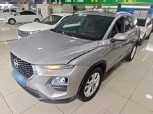 R8S 2019 1.6TGDI Ԅӳ