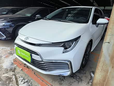 ȫ���������� 2023�� 2.0L ������