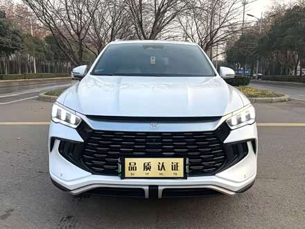 ��Pro����Դ 2024�� ��ҫ�� DM-i 110KM��Խ��