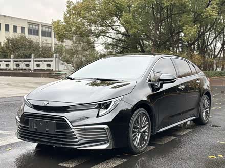 ȫ���������� 2023�� 2.0L ����