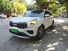 智跑 2021款 Ace 2.0L 挑戰(zhàn)版