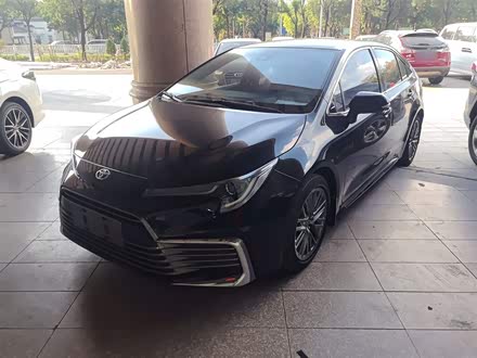 ȫ���������� 2021�� 2.0L ������