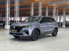 �s��RX5 2021�� PLUS 300TGI �Ԅ�Ali������Ş�s���