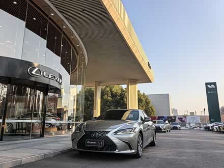 �Ͼ������׿���˹ �׿���˹ES 2020�� 300h ׿Խ��