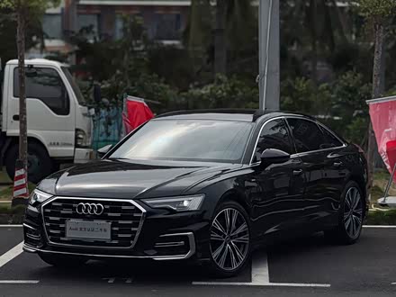 �Ĳ����ְµ� �µ�A6L 2024�� 45 TFSI quattro ��ѡ������