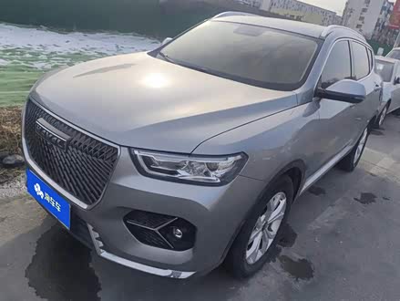 ����H6 2021�� 1.5T �Զ����а�