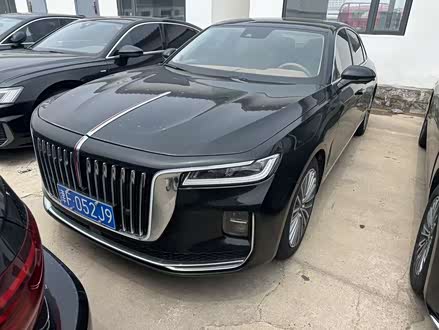 ���ݶ��ֺ���H9 2023�� 2.0T ����������