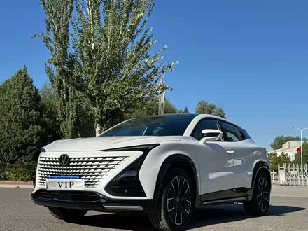 �������ֳ���UNI-T 2023�� �ڶ��� 1.5T �����