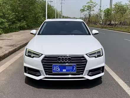 ���޶��ְµ�A4L 2019�� 40 TFSI ��ȡ�� ��V