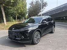 Plus 2024 Plus 28T (q)