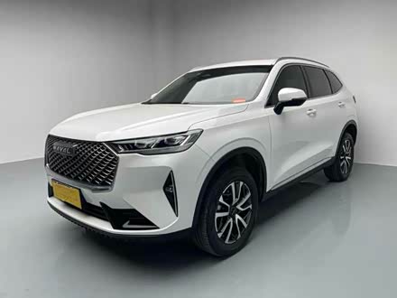 ����H6 2021�� ������ 1.5T �Զ�����Max