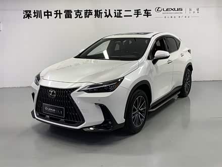 ���ڶ����׿���˹NX����Դ 2022�� 400h+ ���ð�
