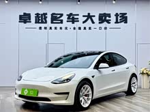 Model 3(進(jìn)口) 2019款 Performance高性能全輪驅(qū)動(dòng)版