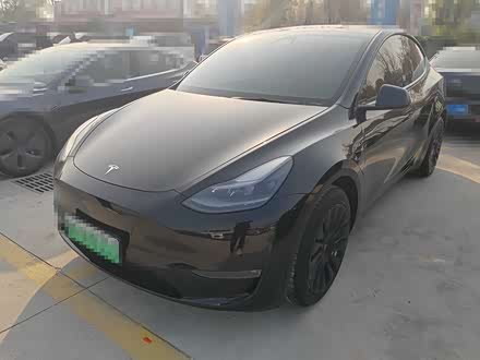 Model Y 2021�� ��(bi��o)��(zh��n)�m(x��)�����(q��)��