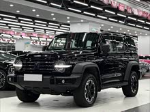 ̹300Դ 2024 Hi4-T