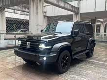 ̹300 2021 ԽҰ 2.0T 