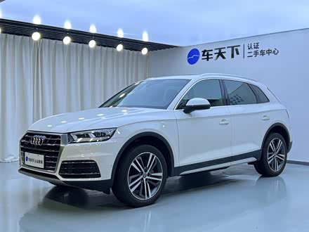 �������ְµ� �µ�Q5L 2020�� 45 TFSI ����������