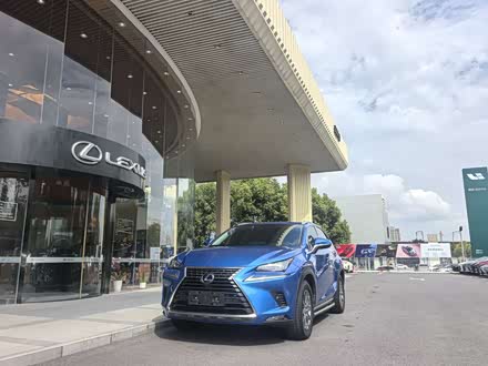 �Ͼ������׿���˹ �׿���˹NX 2018�� 300h ǰ�� ���а� ��V