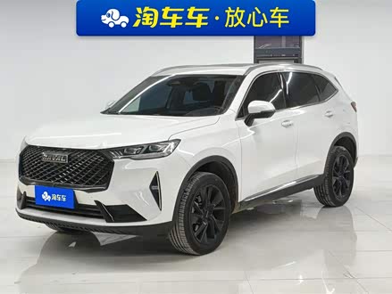 ����H6 2021�� ������ 2.0T �Զ�����Max