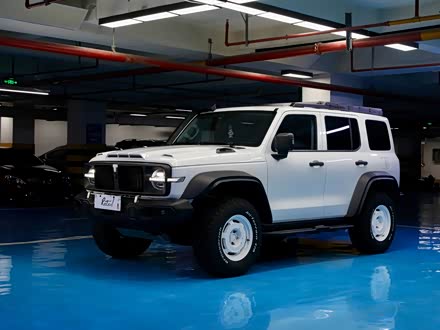 ��������̹��300 2023�� 2.0T ����02