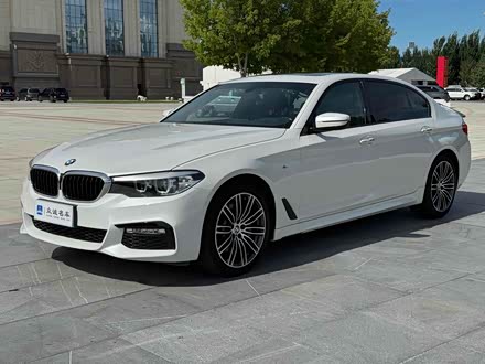 ˰˶ֱ 5ϵ 2018 530Li  M˶װ
