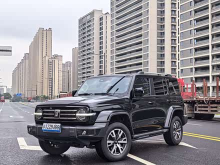 ɽ̹ ̹300 2023 а 2.0T 