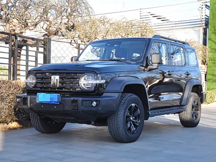 ��������̹��300 2025�� 2.0T ������